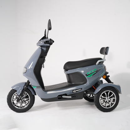 ECO Model Electric Scooter