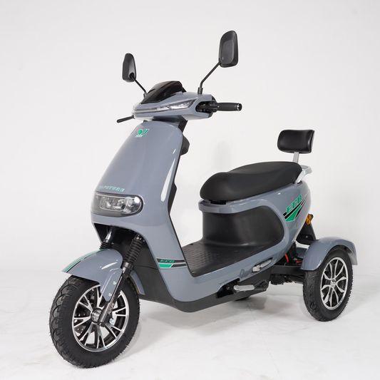 ECO Model Electric Scooter