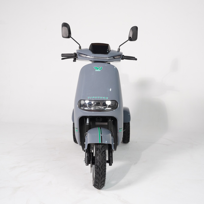 ECO Model Electric Scooter